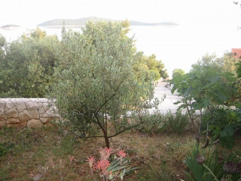 Apartments Mil - 80M From The Sea Sevid Exterior foto
